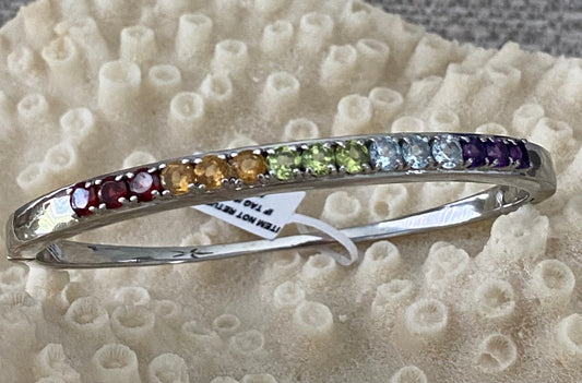 Multi Gemstone Stainless Steel Bangle